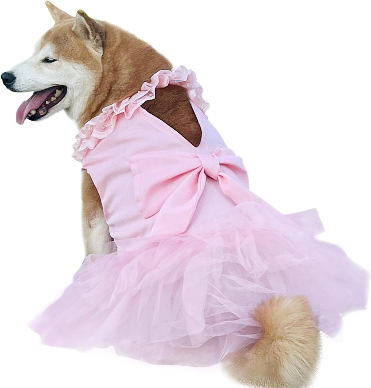 Tulle Dog Dress with Lace Trim and Bow