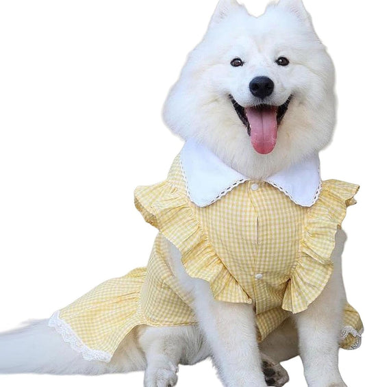 Cotton Plaid Dog Dress with Lace Trim and Collar