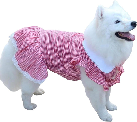 Cotton Plaid Dog Dress with Lace Trim and Collar