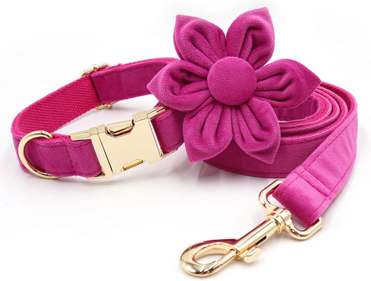 Velvet Dog Collar and Leash Set with Flower